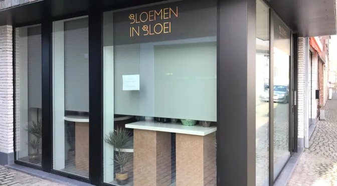 Platteau Ramen Nieuwbouw Ternat 2